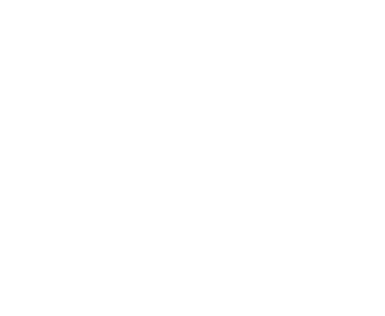 Veraltus Travel